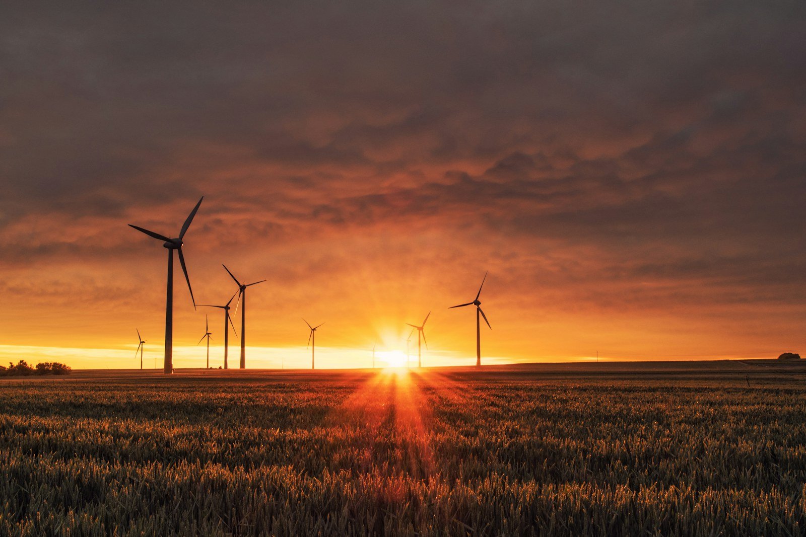 Wind turbines and solar panels in a renewable energy landscape