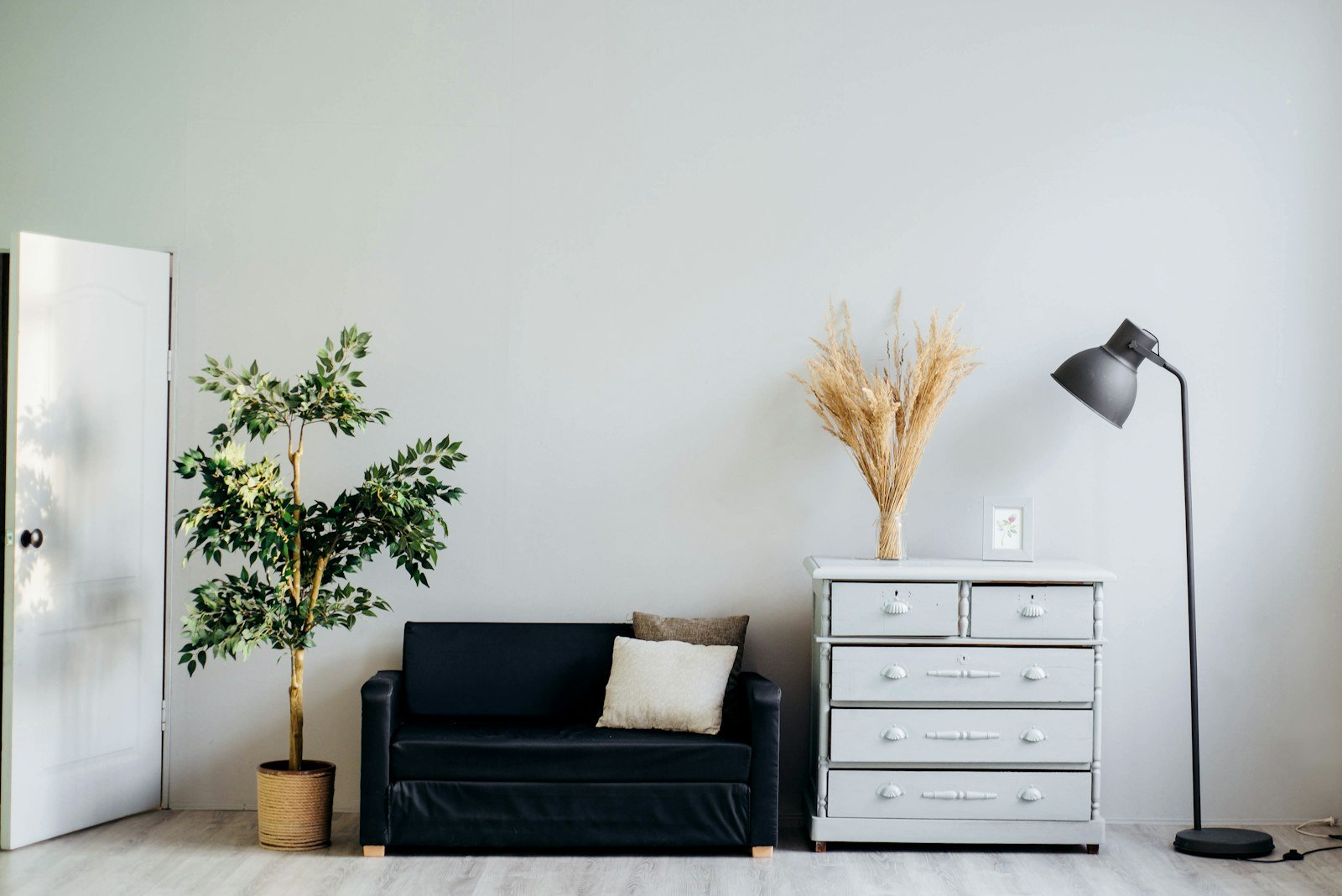 Sustainable living environment with natural light and plants